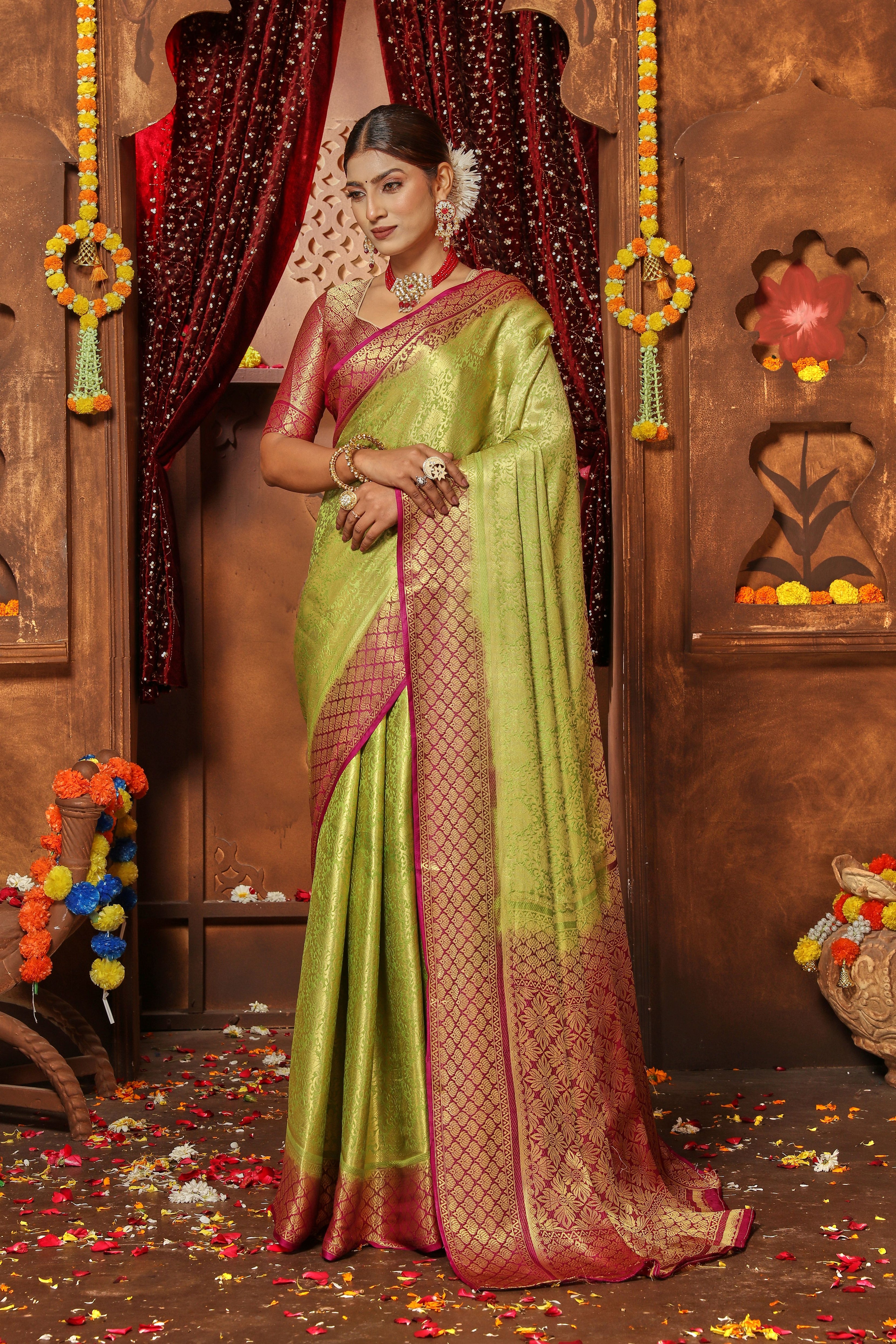 Silk Dreams: Woven with Elegant Zari Designs