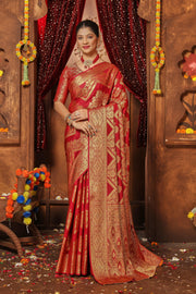 Zari Chronicles: Where Elegance Meets Tradition